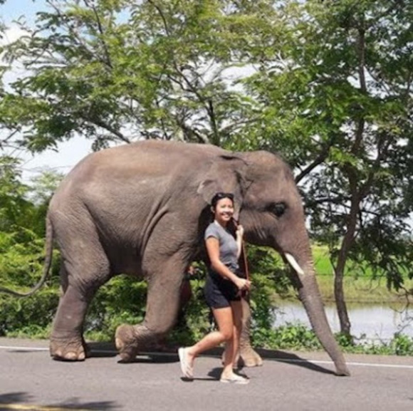 Meet your Posher, Dawn - Picture 1 of 1